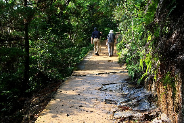 登山道-3