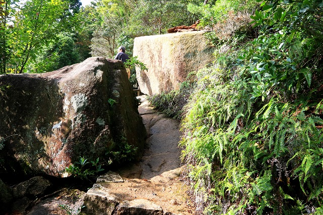 登山道-4