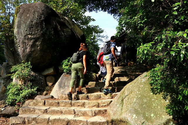 登山道-6