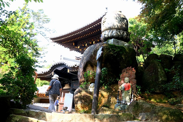登山道-7