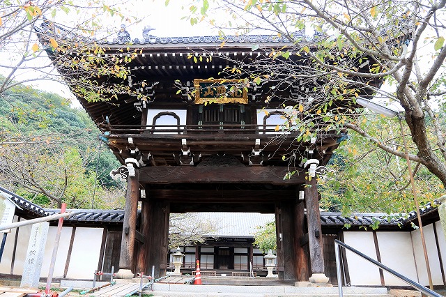 照蓮寺-2