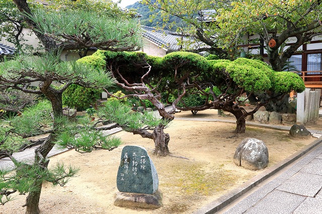 阿弥陀寺-5
