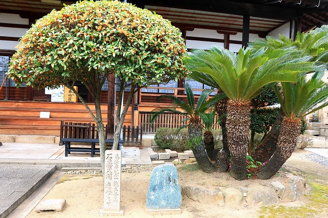 阿弥陀寺-7
