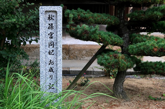 對潮楼-4
