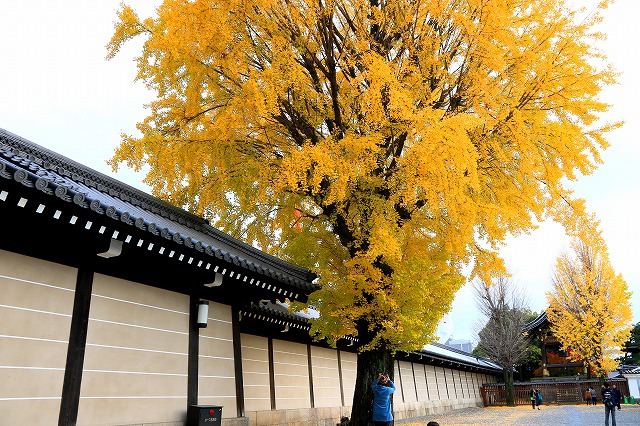 西本願寺-3