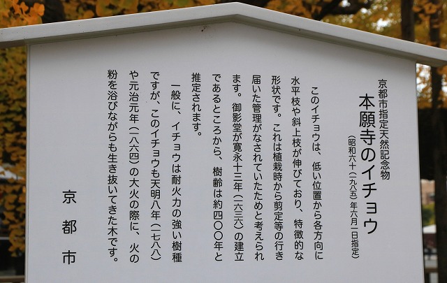 西本願寺-7