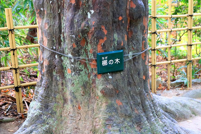 龍潭寺-13