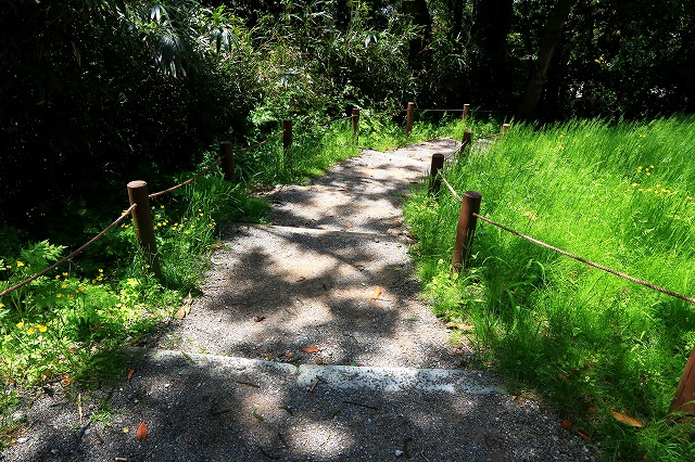 金沢城公園-8