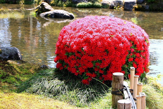 兼六園-5