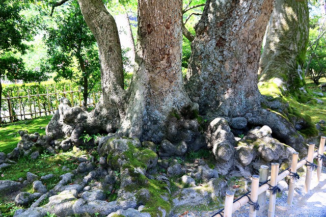 兼六園-3