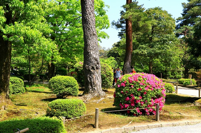 兼六園-4