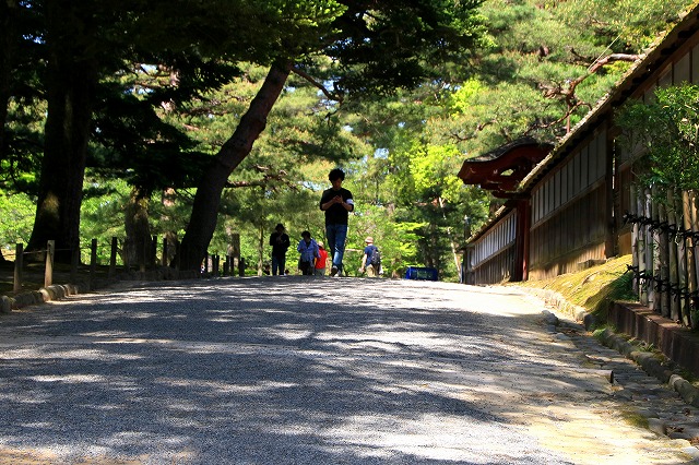 兼六園-5