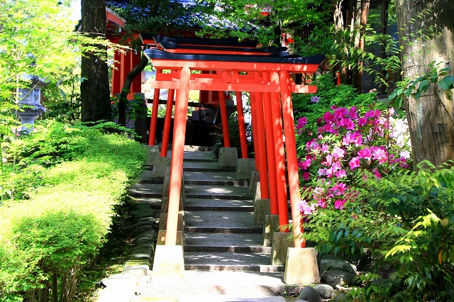 金沢神社-2