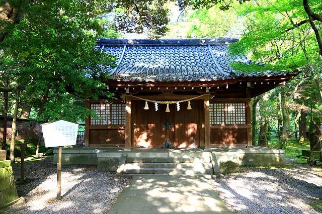 尾山神社-4