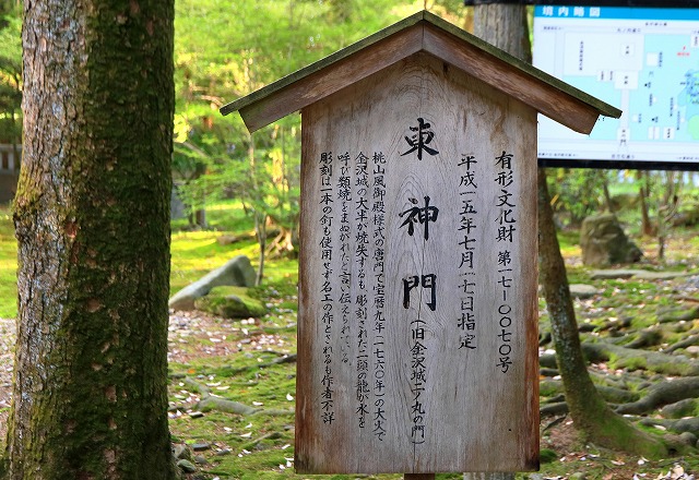 尾山神社-11