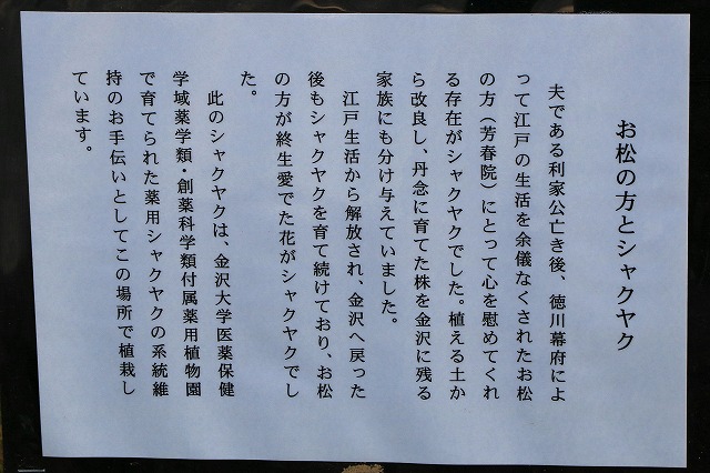 尾山神社-10