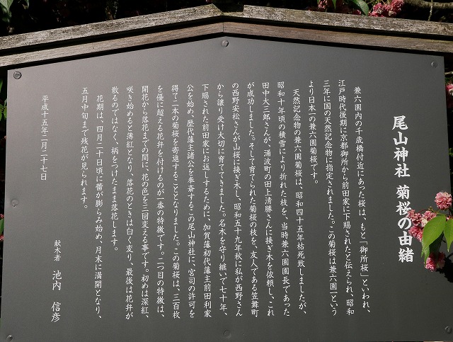 尾山神社-3