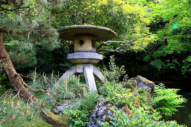 尾山神社-9