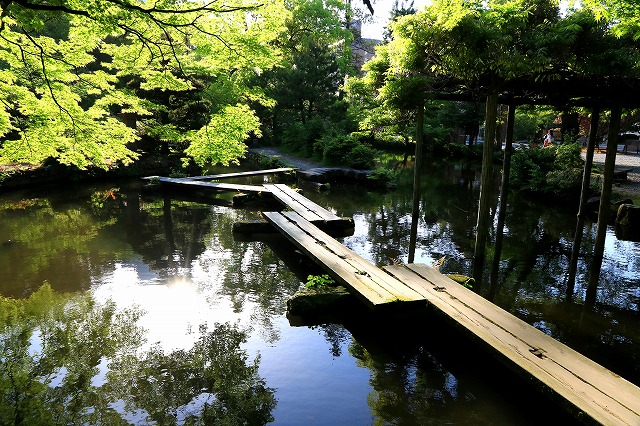 尾山神社-10