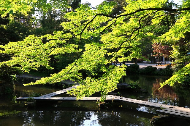 尾山神社-11