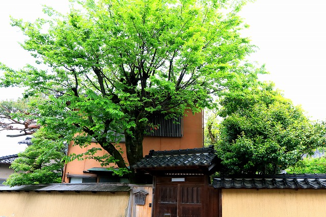 大野庄用水-9