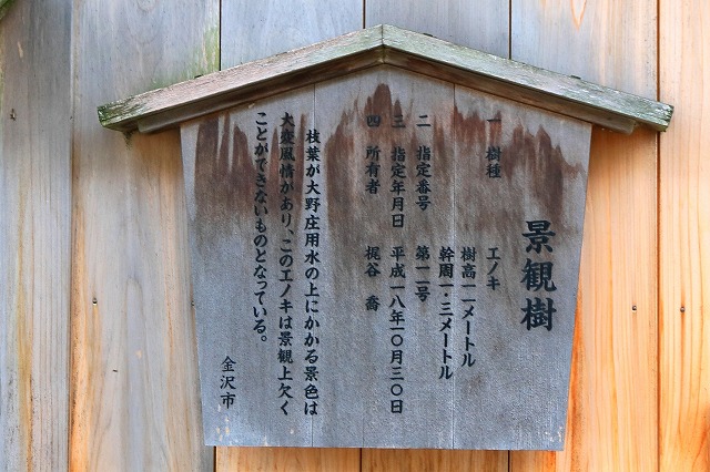 大野庄用水-10