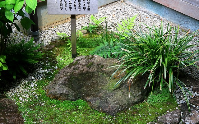 野村家-3