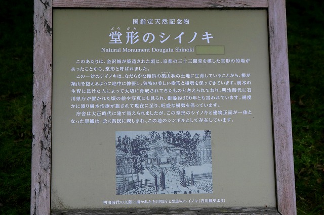 しいのき迎賓館-4