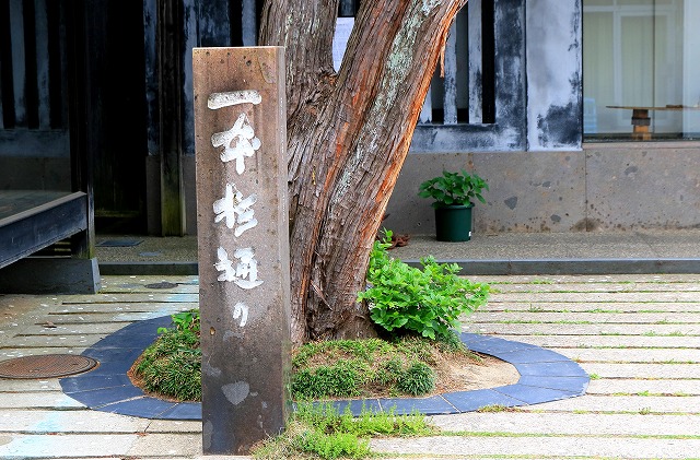 一本杉通り-8