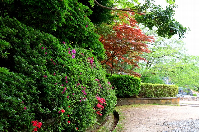 小丸山城址公園-4