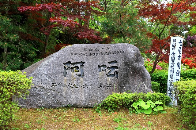 小丸山城址公園-6
