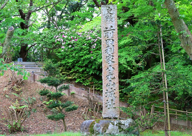小丸山城址公園-9