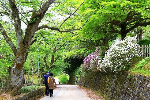 小丸山城址公園-17