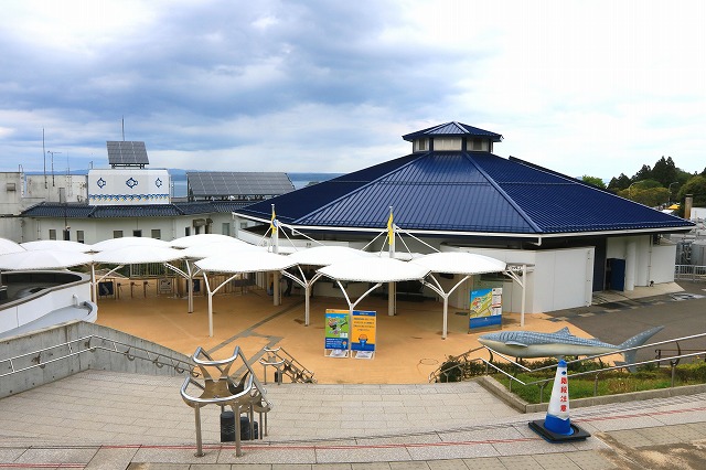 のとじま水族館-1