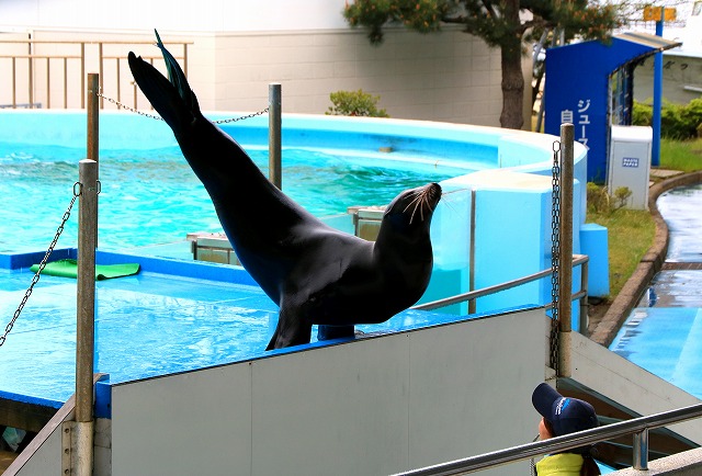 のとじま水族館-10