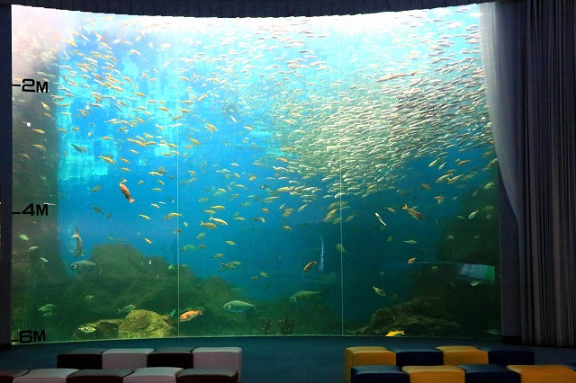 のとじま水族館-1