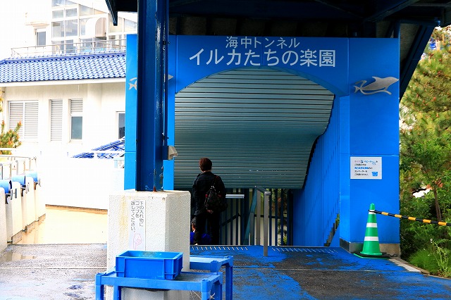 のとじま水族館-12