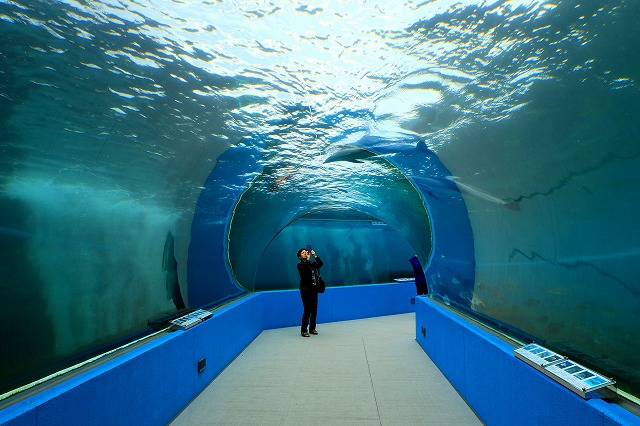 のとじま水族館-13