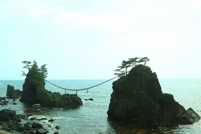 µ¡¶ñ´ä-1