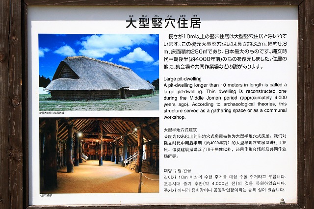 大型竪穴住居-6