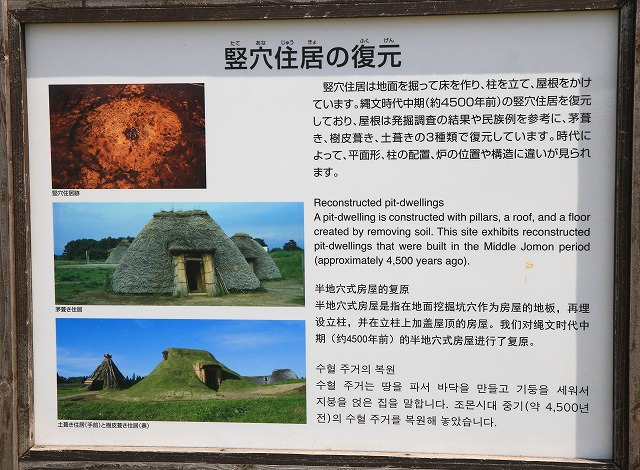 三内丸山遺跡-6