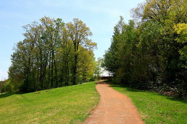 三内丸山遺跡-10