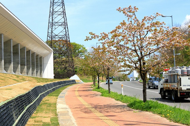 並木道-1