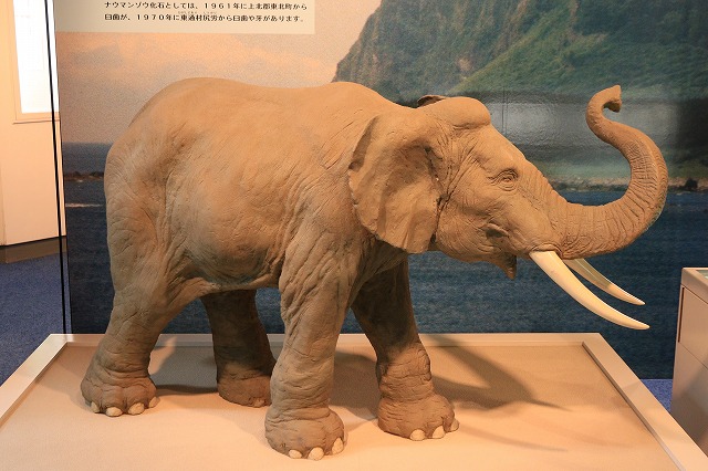 県立郷土館-3