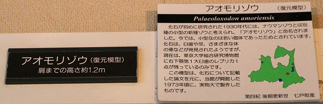 県立郷土館-4