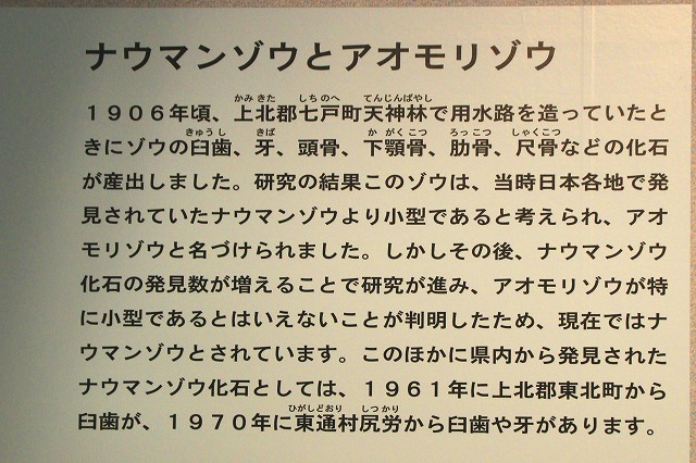 県立郷土館-5