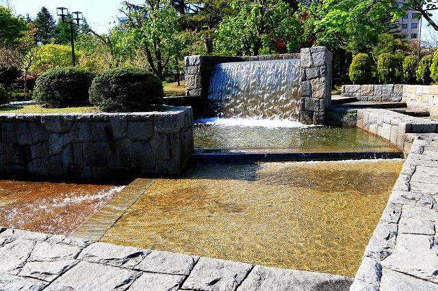 青い森公園-4