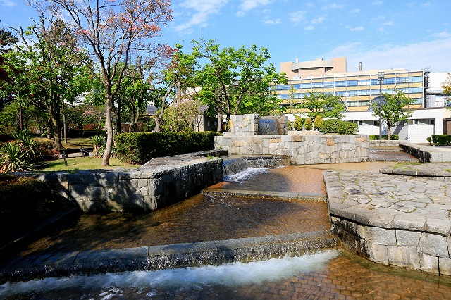 青い森公園-5