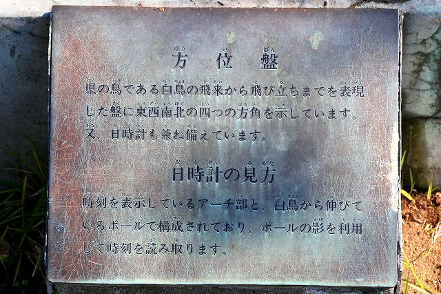 青い森公園-8