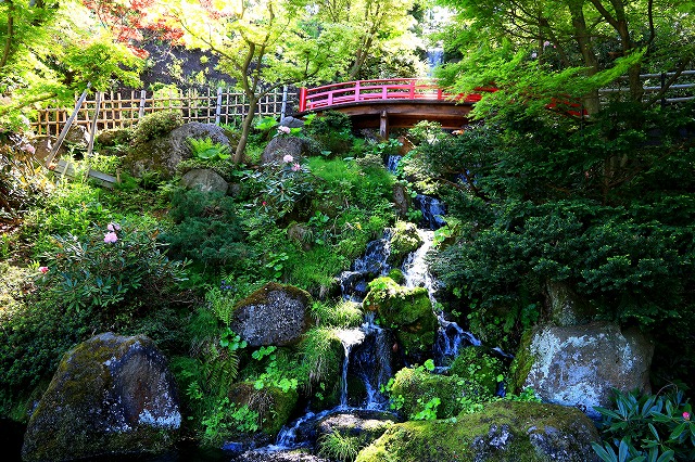 藤田記念庭園-2